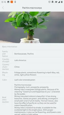 Flower Care android App screenshot 6